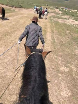 青海騎馬場有哪些：深入探索高原的馬術盛景與相關知識